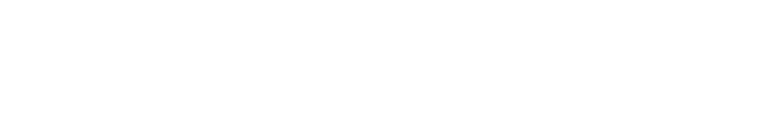 د. عبدالرحمن الجاموس