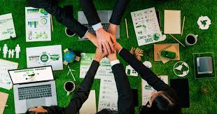 Capacity Building & Coaching