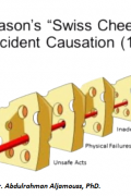 Swiss Cheese Model in Risk Management
