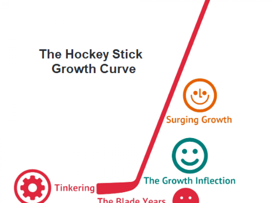 Dr. Abdulrahman M. Aljamouss The Hockey stick growth