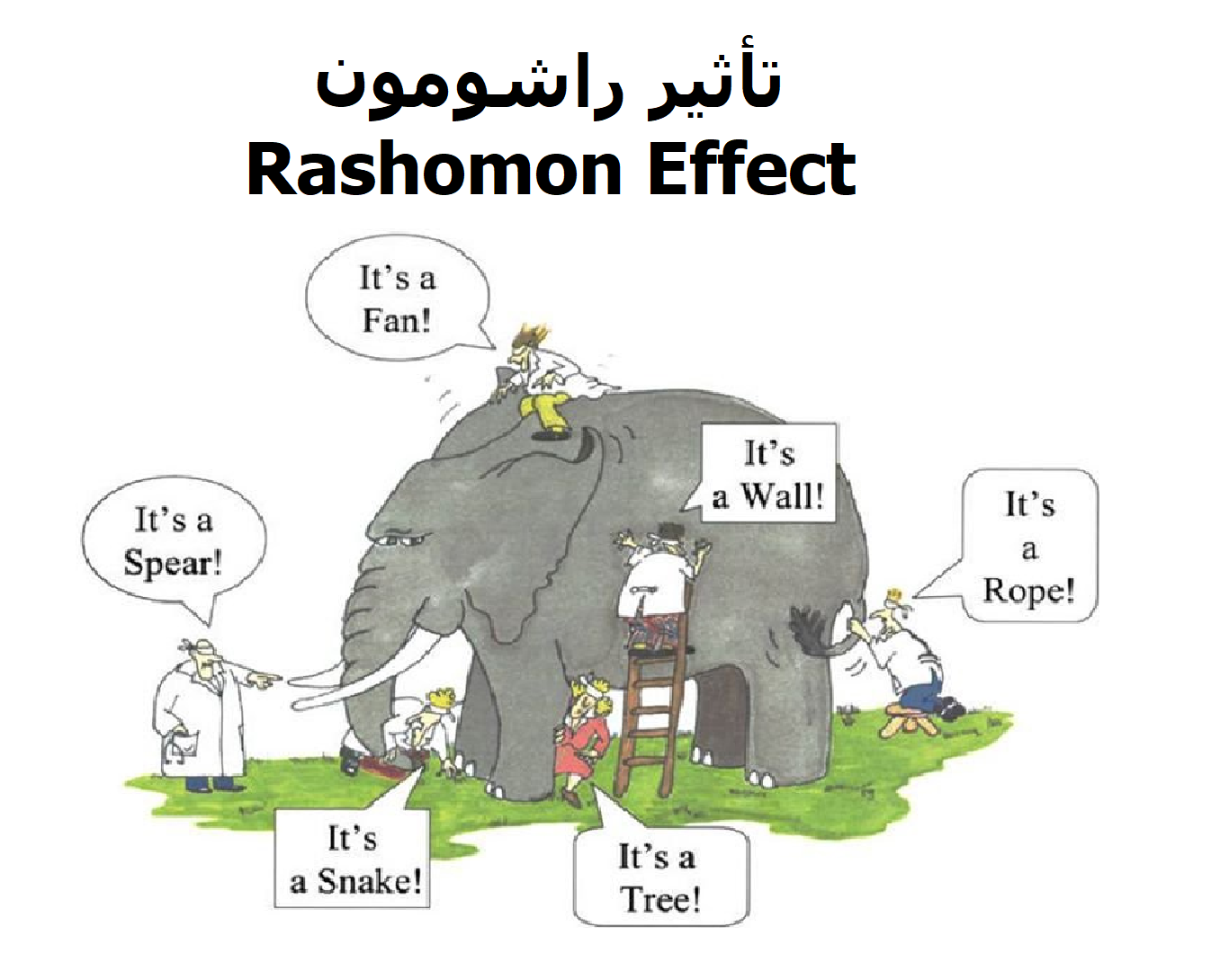 تأثير راشومون Rashomon Effect