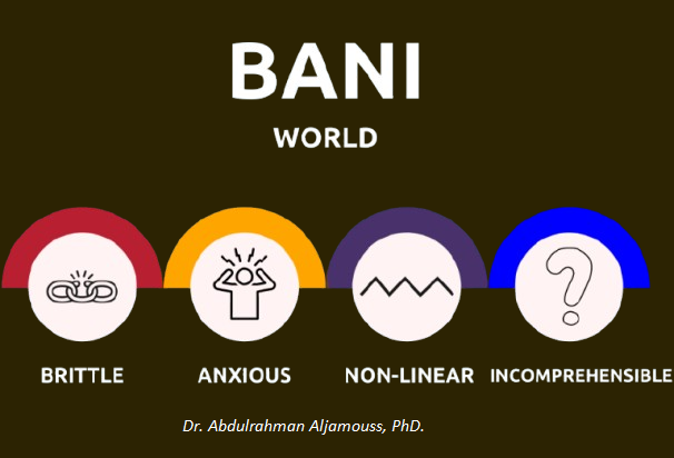 BANI World – Beyond VUCA