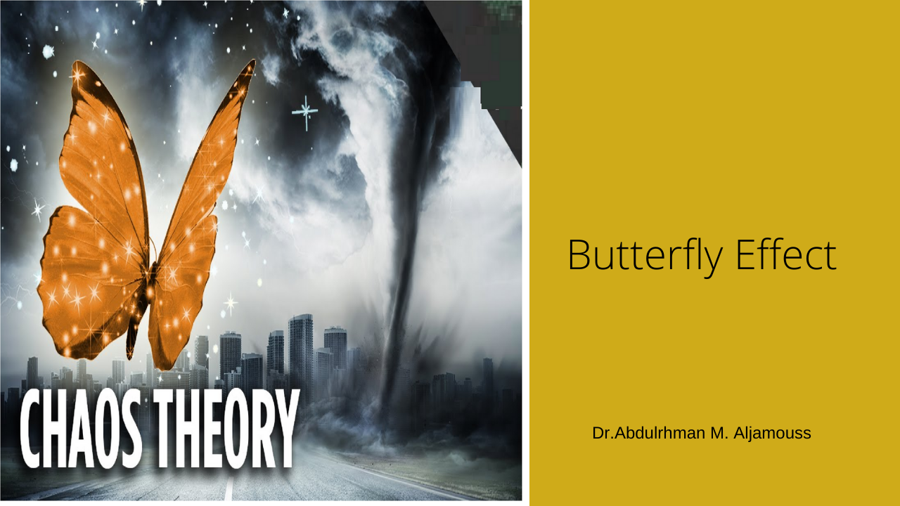 The Butterfly Effect